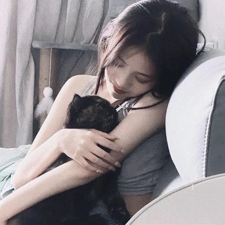我洒顽皮豹